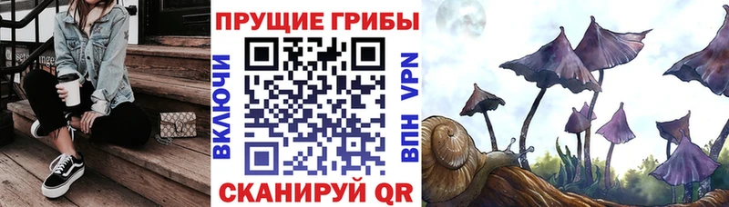 Галлюциногенные грибы MAGIC MUSHROOMS Можга